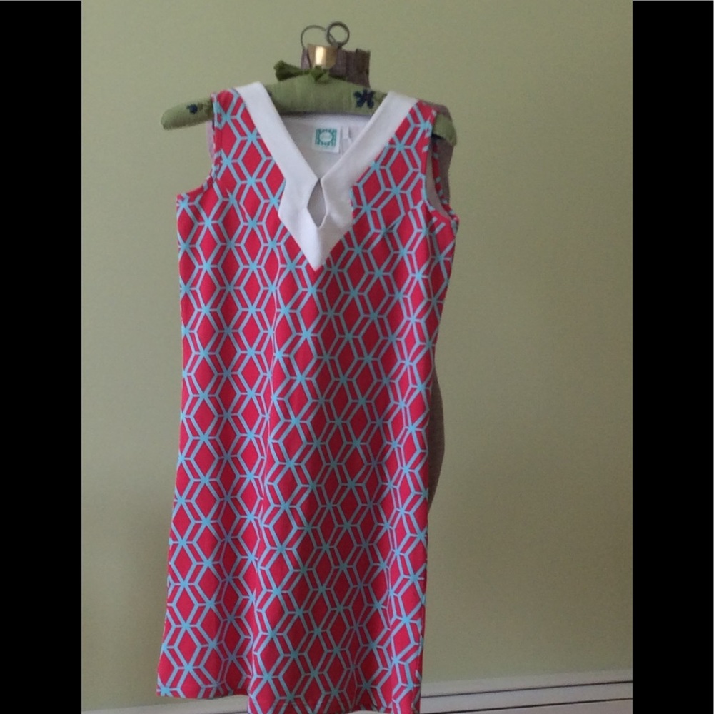 Vera Fishbaugh VFish Dress Chicago
